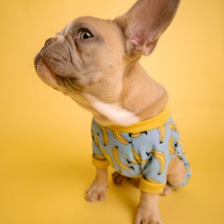 Foto von Karsten Winegeart auf Unsplash